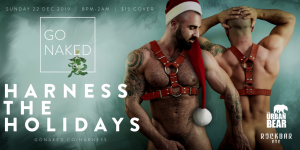 HARNESS THE HOLIDAYS