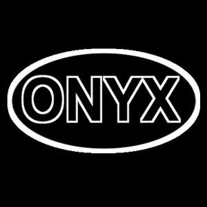 ONYX PLAY PARTY