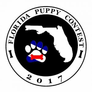 Florida Puppy Contest