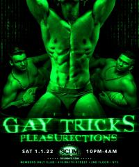 The Gay Tricks Pleasurections