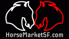 HORSE MARKET - CHICAGO - Event Information - Wicked Gay Parties - Group