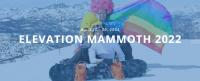 ELEVATION : MAMMOTH GAY SKI WEEK