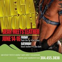 BEAR MEETS LEATHER