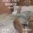 The Foot Link: A Foot Fetish Party